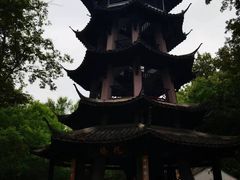 -西溪国家湿地公园