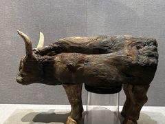 -仪征博物馆