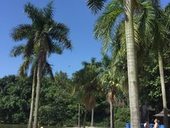 -佛山祈福仙湖酒店