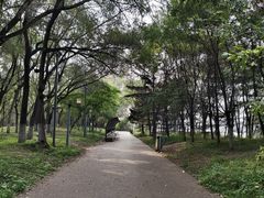 -长白岛森林公园