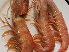 阿根廷红虾-济南蓝海御华大饭店·蓝钻国际美食自助百汇(山东书城店)
