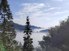 -紫鹊界梯田景区