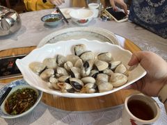 新鲜白贝-丰尔粥食·粥底火锅(大良总店)