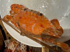 -行运海鲜食集(北京首店)
