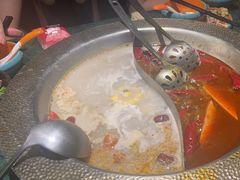 -麻田会 ·鲜活现烹·牛蛙火锅(珠江新城维家思广场店)