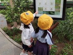 -华杉幼儿园(通州校区)