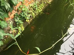 -谷咖啡·鲜花绿植花园餐厅
