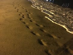 -小巴塞罗那海滩