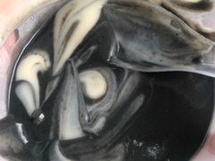 -鞠氏黑芝麻糊(水塔店)