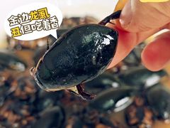 -美未居·老字号·地道顺德菜·桑拿鸡·鱼生(容桂店)