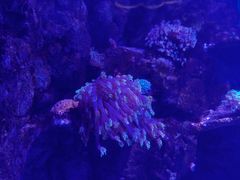 -福州罗源湾海洋世界旅游区