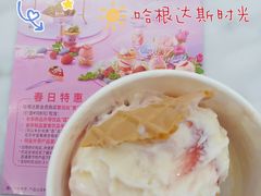 覆盆子石榴-哈根达斯(深圳海岸城店)