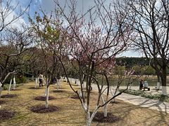 -上海方塔园