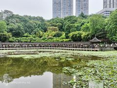 -龙头寺公园
