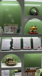 -北京豆豆博士专业祛痘