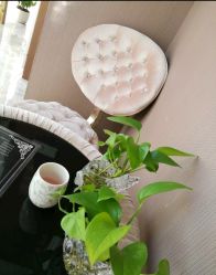 -佐登妮丝美容SPA生活馆