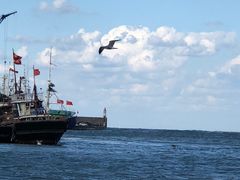 -海驴岛(荣成市)