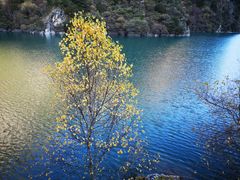 -叠溪松坪沟景区