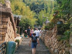 -将军关探险漂流