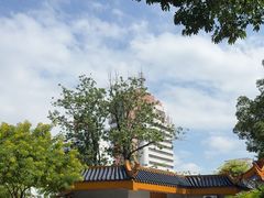 -金砂公园