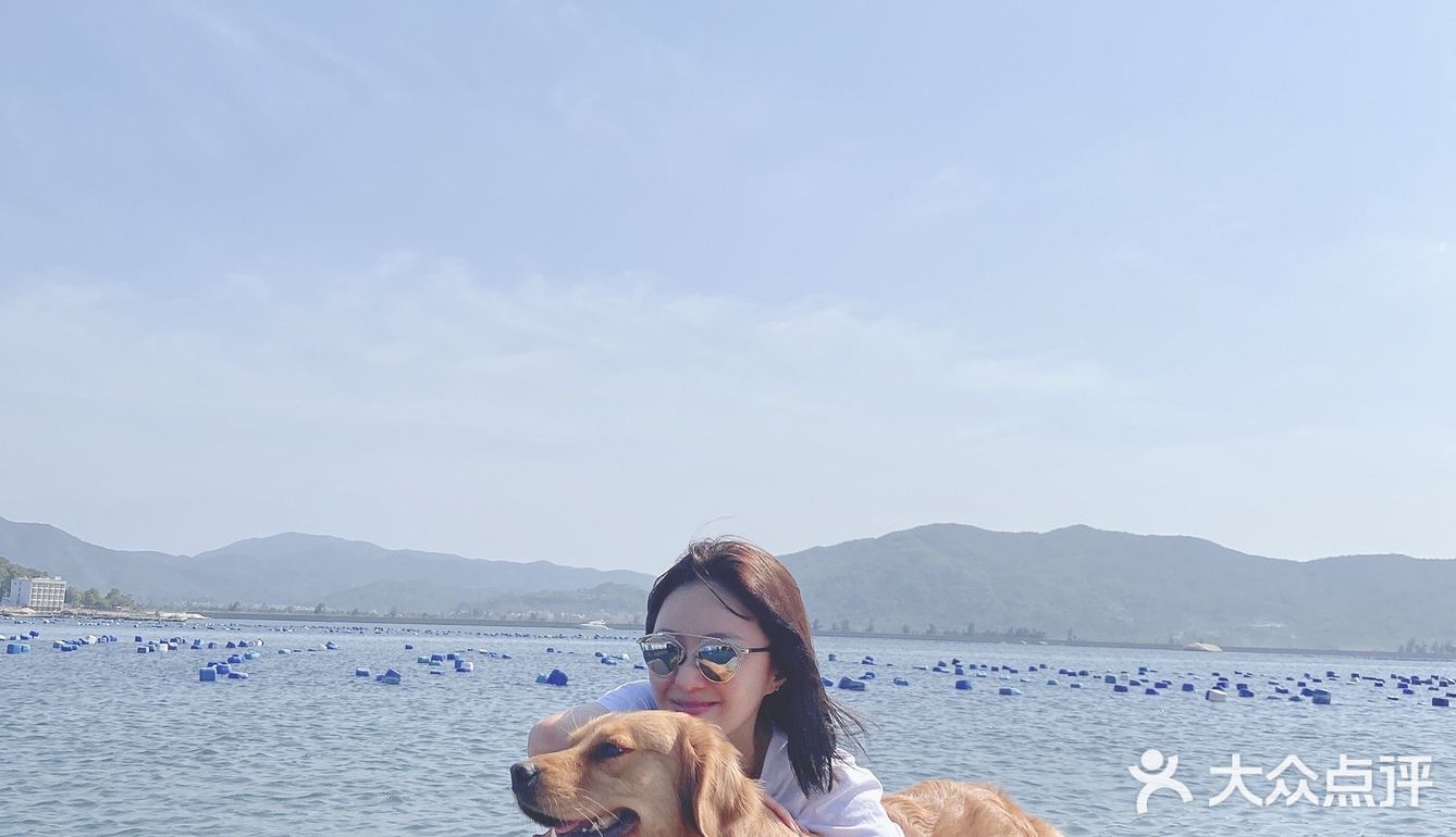 2020最后一天写给汪星人