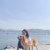 2020最后一天写给汪星人