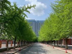 -辽宁大学(崇山校区)
