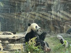 -武汉动物园