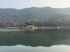 -桃花岭景区