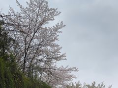 -南京城墙景区