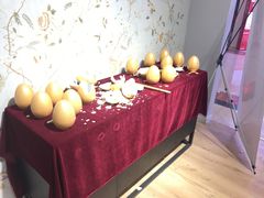 -月星家居(杭州商场店)