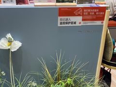 -海马体照相馆(上海月星环球港店)