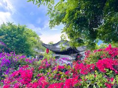-和顺古镇
