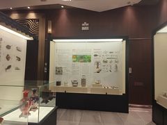 -金成潮菜博物馆(海珠湿地店)