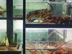 水产区-甄御•海鲜新青岛菜(麦岛店)