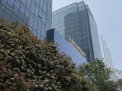 -艺站·自助餐厅·牛排西餐厅(济南绿地美利亚酒店)