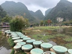 -靖西鹅泉风景区