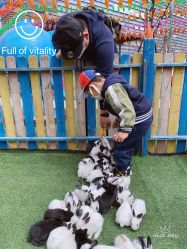 -萌宠亲子动物乐园(槐房万达店)