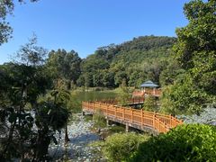 -东莞市大岭山森林公园
