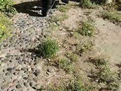 -波姐宠物家庭寄养
