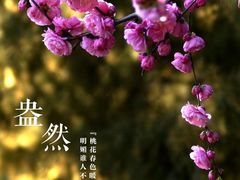 -仙岳公园