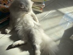 -美联众合24小时·皮肤科·外科·全科诊疗中心(华苑分院)
