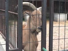 -保定市动物园