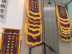 -半岛宠物医院24小时(科华中路店)