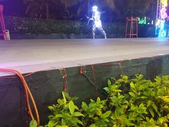 -渔家火锅·海鲜自助餐·演艺(亚龙湾天域酒店)