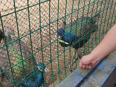 -武汉紫薇都市田园