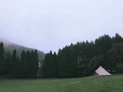 -武陵山森林公园
