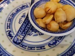 招牌姜撞奶-捷信牛奶甜品世家(五道口店)