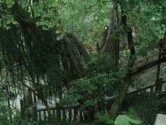 -乌山风景区