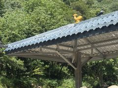 -陕西省红河谷森林公园